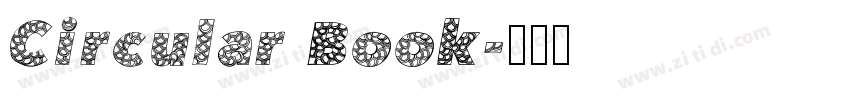 Circular Book字体转换